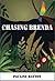 Chasing Brenda by Pauline Hayton