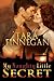 My Naughty Little Secret by Tara Finnegan