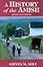 A History of the Amish