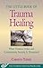 The Little Book of Trauma H...