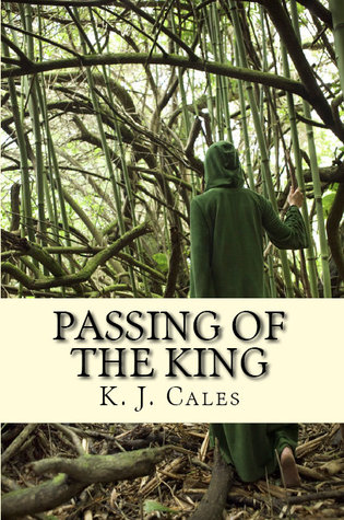 Passing of the King (A Rachel Bailey Mystery, #1)