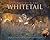 Journey With the Whitetail (w/DVD)