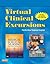 Virtual Clinical Excursions 3.0 for Medical-Surgical Nursing: Patient-Centered Collaborative Care