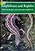 Amphibians and Reptiles (New Naturalist, #87)