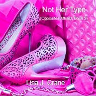 Not Her Type (Opposites Attract, #2)