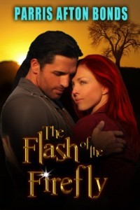 The Flash of the Firefly (Kindle Edition)
