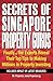 Secrets of Singapore Property Gurus: Finally the Experts Reveal Their Top Tips to Making Millions in Property Investing