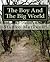 The Boy And The Big World