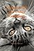 Express Cafe and Other Ramblings by Heather Crouse