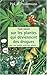 Tout savoir sur les plantes qui deviennent des drogues : pavots, coca, cannabis, champignons hallucinogènes