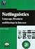 Netlinguistics: Language, D...