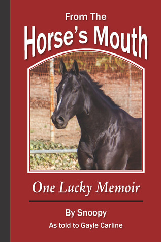 From the Horse's Mouth: One Lucky Memoir