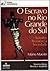 O Escravo no Rio Grande do Sul by Mário Maestri