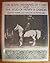 The Royal Arabians of Egypt...