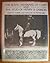 The Royal Arabians of Egypt and The Stud of Henry B. Babson by Judith Forbis