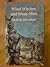 Wind Witches and Stone Men (Tim and the Hidden People)