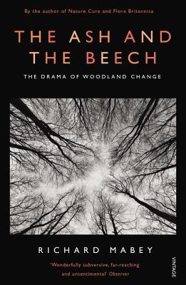 The Ash and the Beech: The Drama of Woodland Change (Paperback)