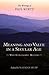 Meaning and Value in a Secular Age by Nathan Bupp