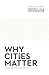 Why Cities Matter by Stephen T. Um