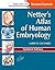 Netter's Atlas of Human Embryology: Updated Edition (Netter Basic Science)