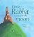 Little Rabbit Waits for the Moon by Beth Shoshan