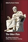 The Other Plato by Dmitri Nikulin