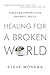 Healing for a Broken World by Steve Monsma