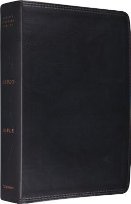 Holy Bible:  ESV Study Bible