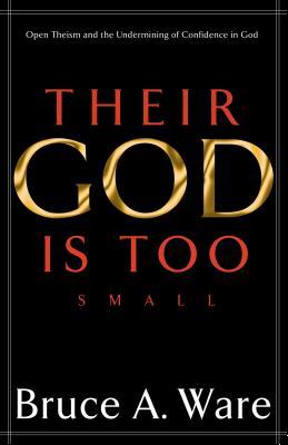 Their God Is Too Small: Open Theism and the Undermining of Confidence in God (Paperback)