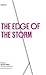 The Edge of the Storm by Agustín Yáñez