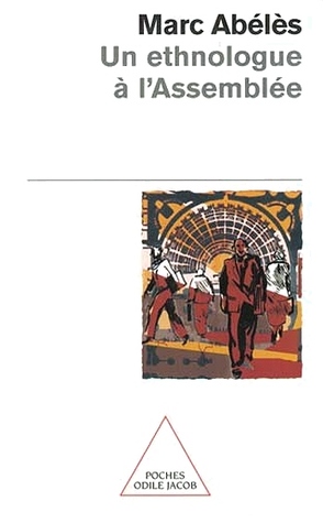 Un ethnologue à l'Assemblée (Paperback)