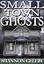 Small Town Ghosts by Shannon Celebi Small Town Ghosts by Shannon Celebi