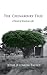 The Chinaberry Tree: A Novel of American Life (Dover Literature: African American)