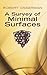 A Survey of Minimal Surface...