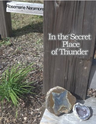 In the Secret Place of Thunder (Kindle Edition)