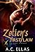 Zotien's First Law (The Dark Servant, #9)