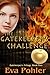The Gatekeeper's Challenge by Eva Pohler