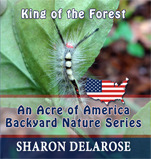 King of the Forest: An Acre of America Backyard Nature Series (Volume 3)