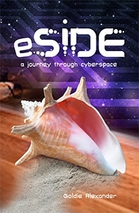 eSide a journey through cyberspace (Hardcover)