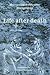 Life after Death by Hierotheos Vlachos