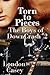 Torn to Pieces (The Boys of DownCrash, #2)