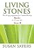 Living Stones: Rocks: Year B