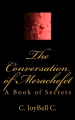 Capa do Livro The Conversation of Merachefet: A Book of Secrets