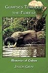 Glimpses through the Forest: Memories of Gabon