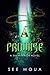 Promise (Shawarrior, #1)