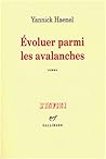 Évoluer parmi les avalanches