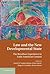 Law and the New Developmental State: The Brazilian Experience in Latin American Context