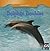 Dolphin Doubles (Animal Math, 1)
