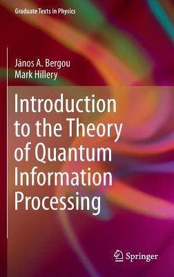 Introduction to the Theory of Quantum Information Processing (Graduate Texts in Physics)