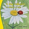 A Bug Collection: An Alphabet of Bugs A Bug Collection: An Alphabet of Bugs